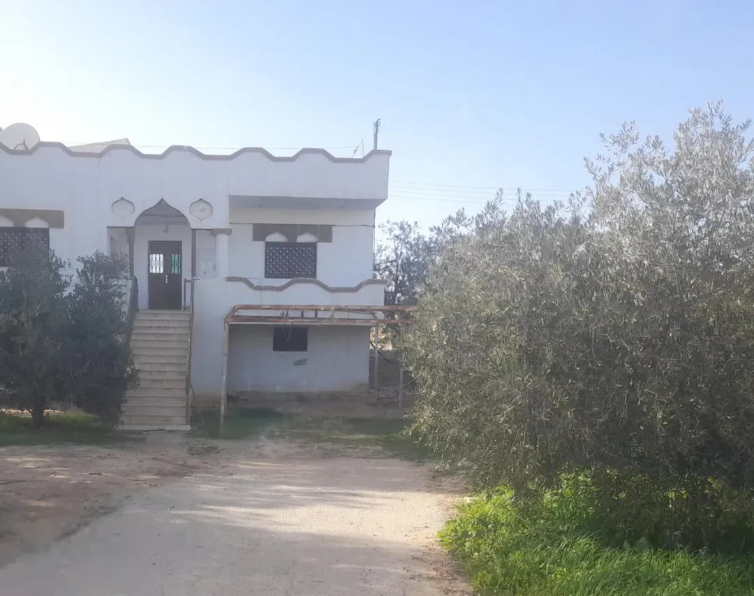 بيت ريفي ساحر على أرض مزرعة الزيتون المثمرة