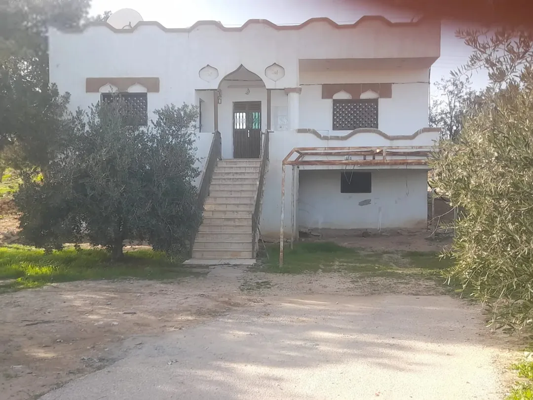 بيت ريفي ساحر على أرض مزرعة الزيتون المثمرة