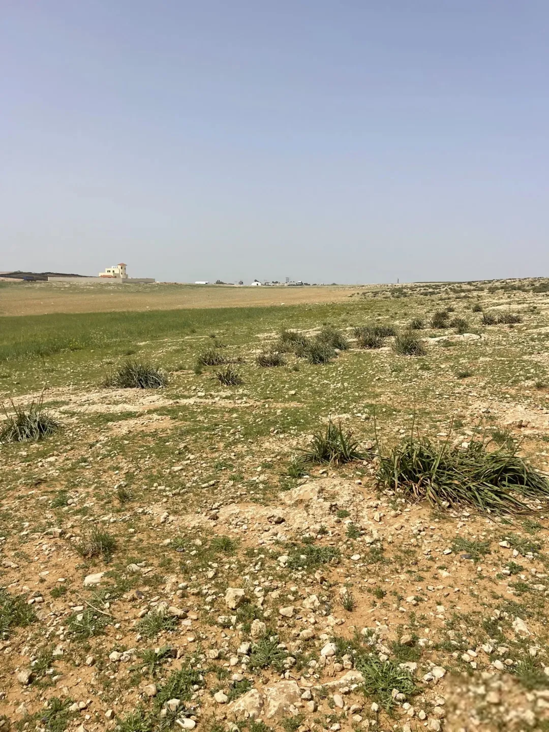 قطعة أرض إستثمارية مميزة شرق جامعة العلوم