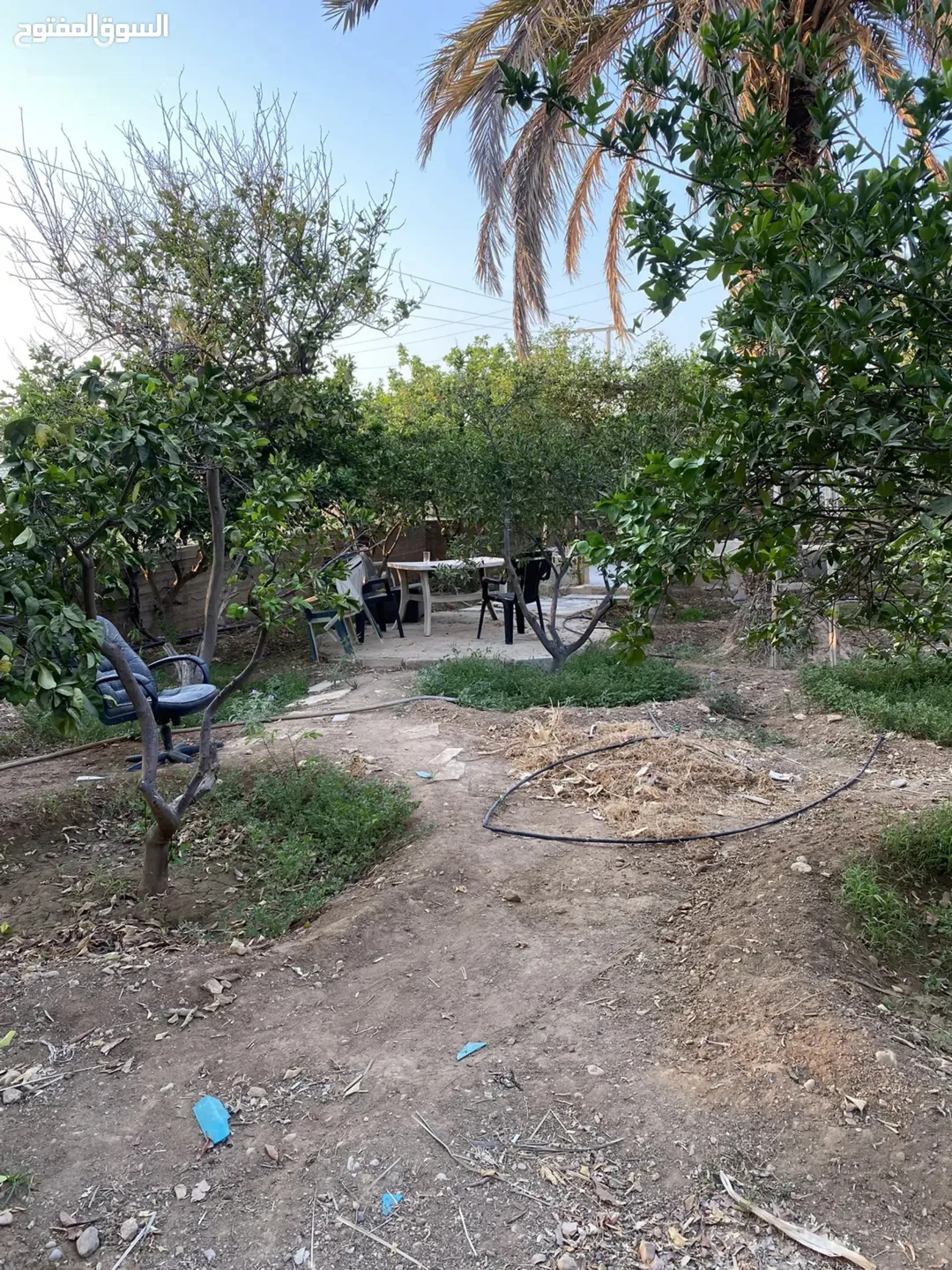 منزل مع حديقة للبيع في اهدى وارقى مناطق العارضه