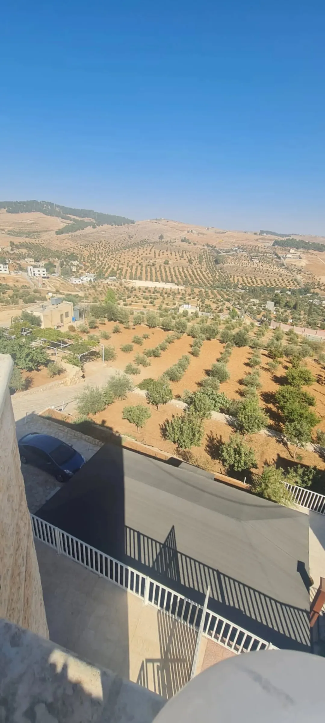 للبيع مزرعة فاخرة بإطلالة بانورامية في جرش – الأردن