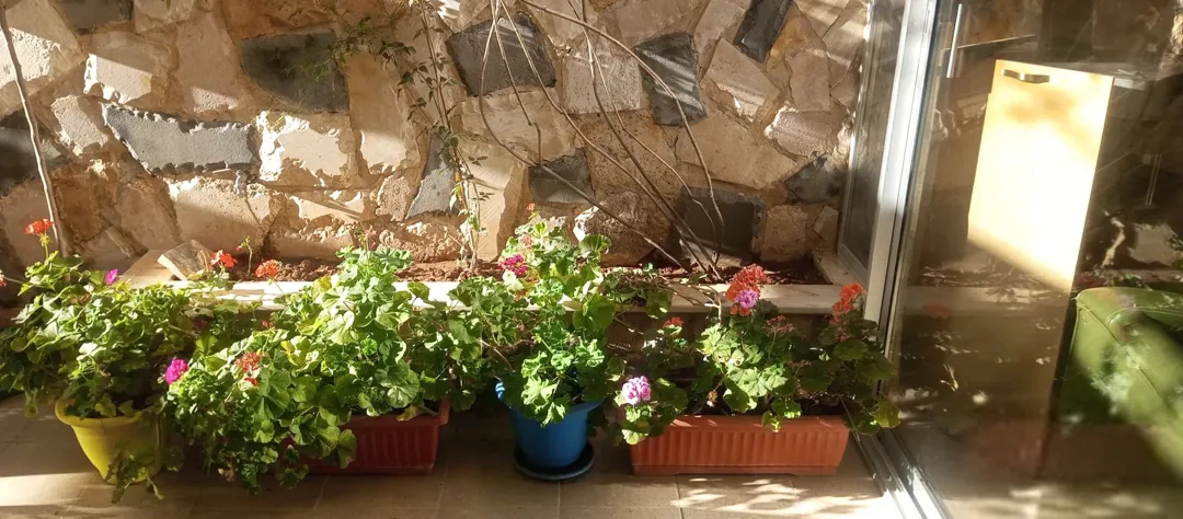 شقة في طريق المطار تسوية للبيع