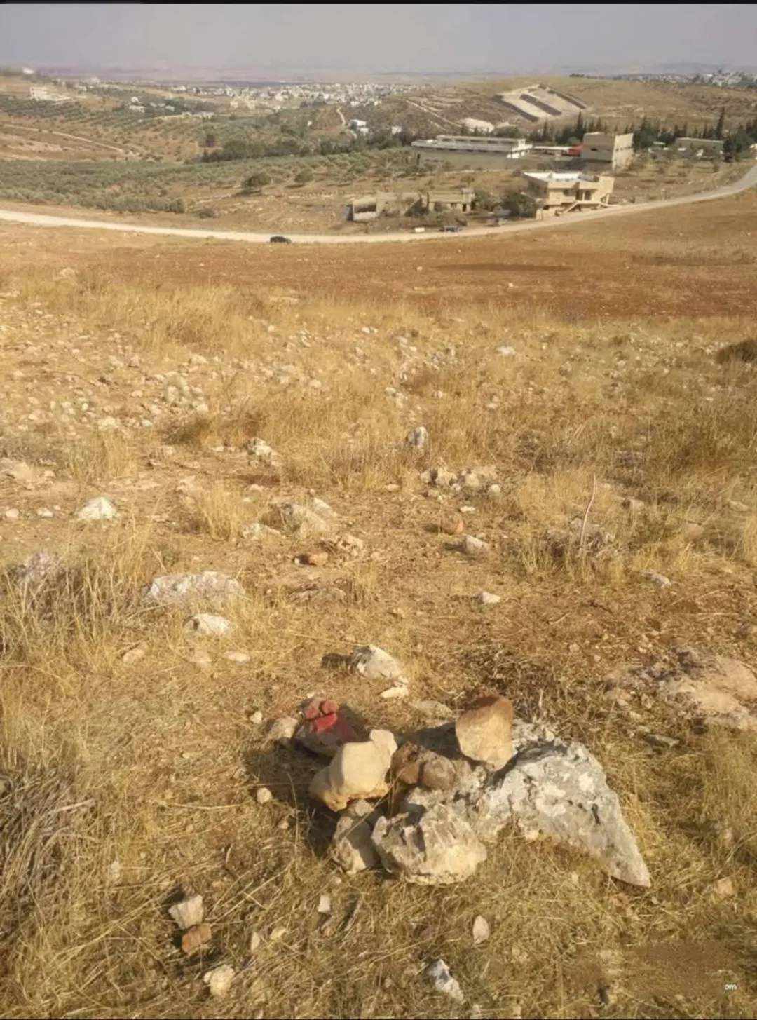 ارض زراعيه للبيع بقرية شطنا / اربد