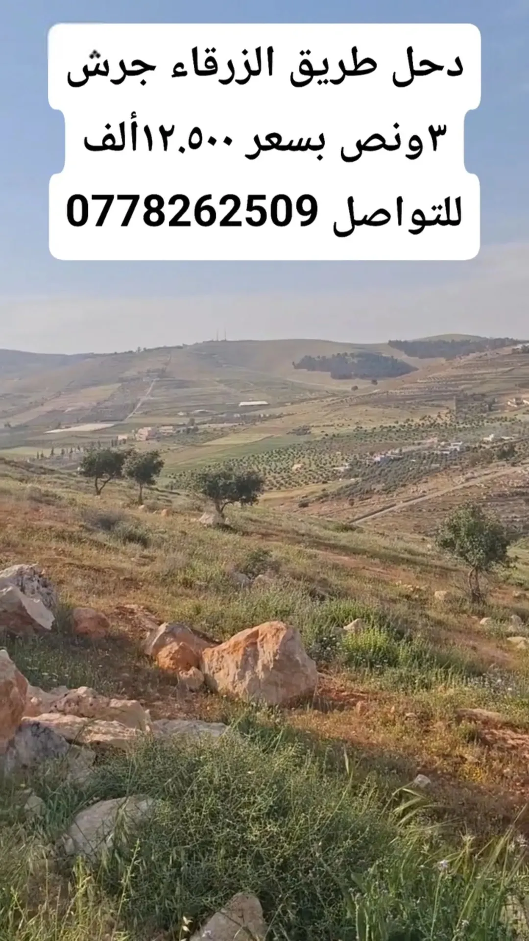أرض زراعية مميزة في دحل – المفرق