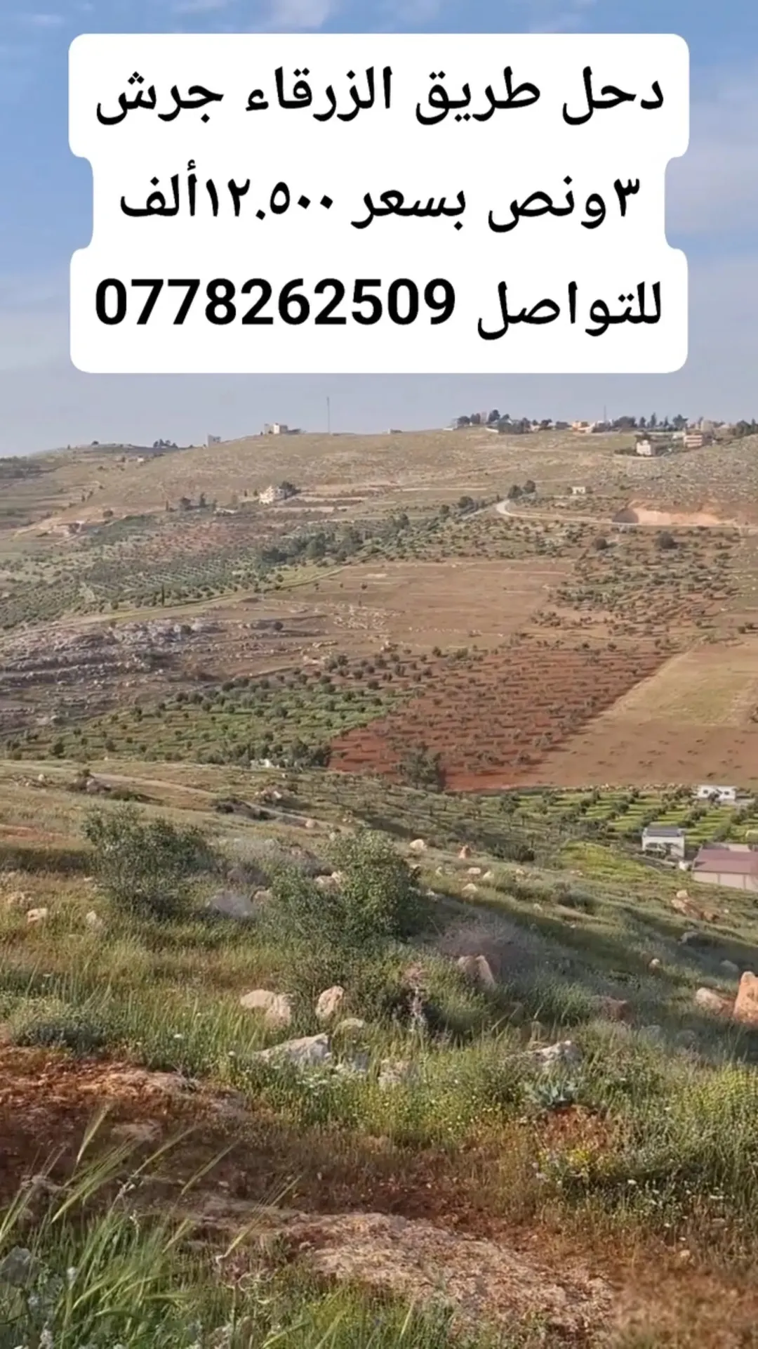أرض زراعية مميزة في دحل – المفرق