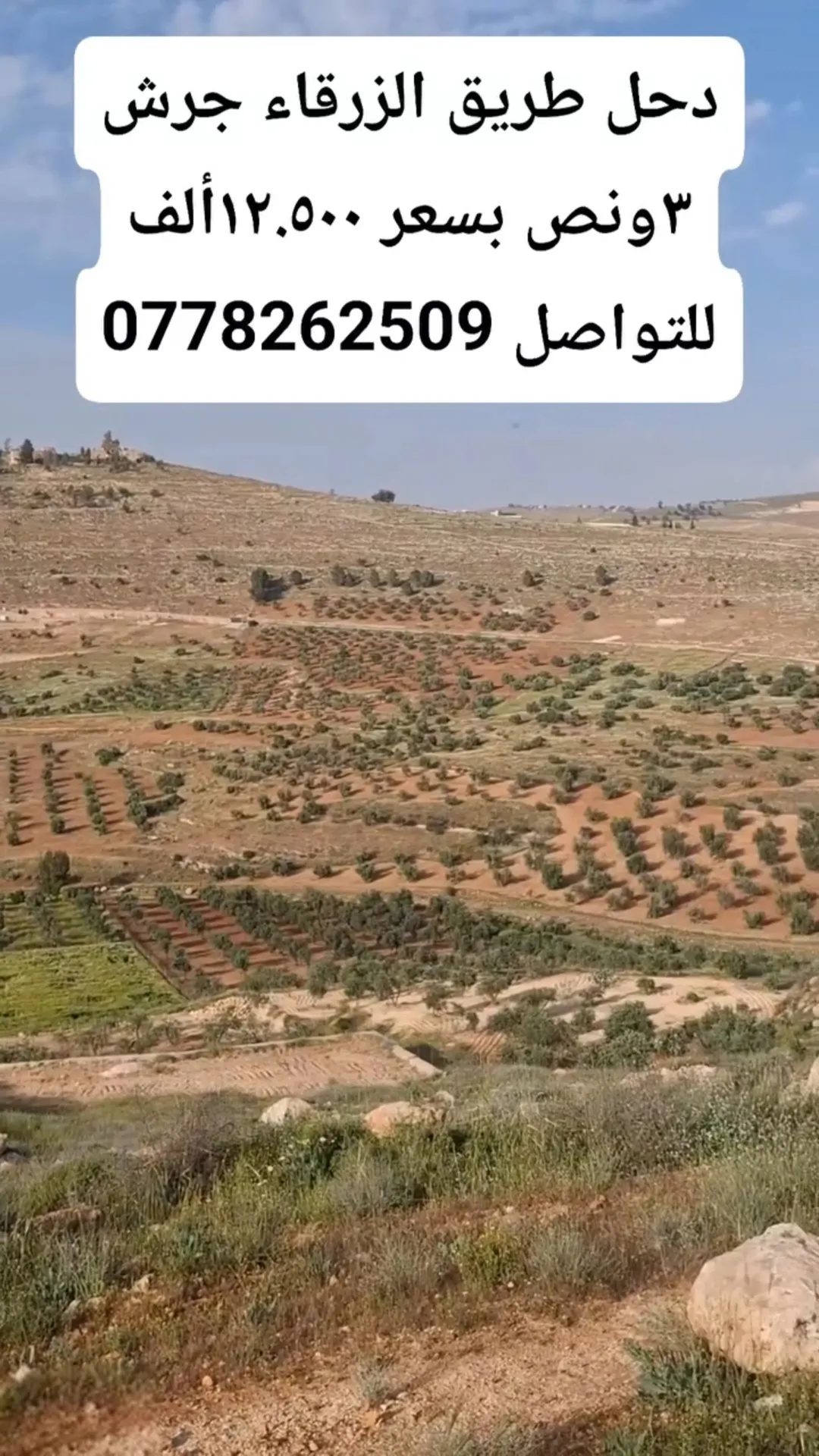 أرض زراعية مميزة في دحل – المفرق