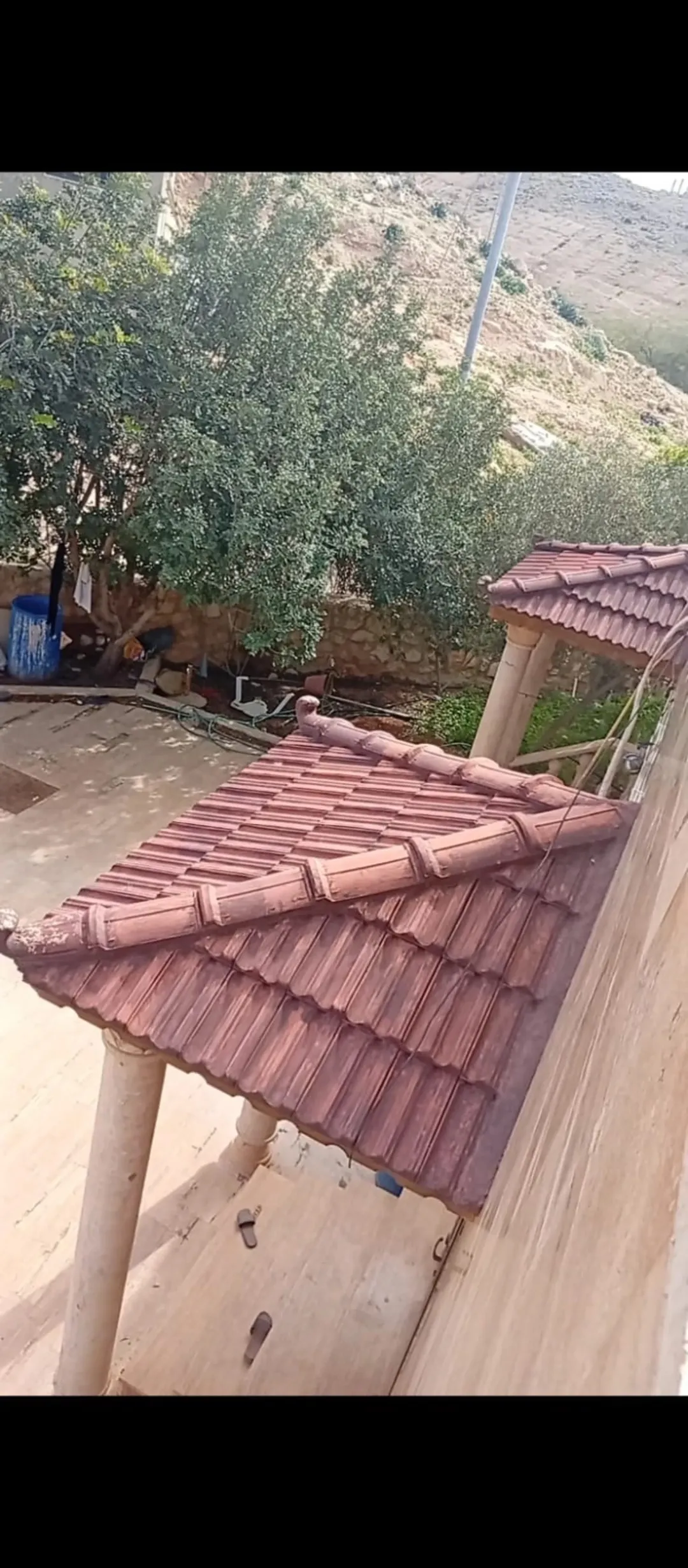 مزرعة مميزة للبيع