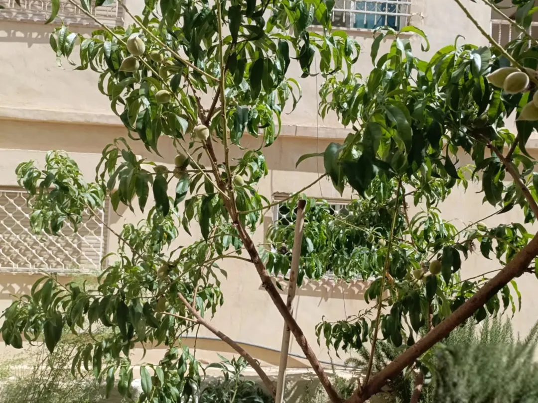 فيلا واسعة للبيع في الزرقاء الجديدة