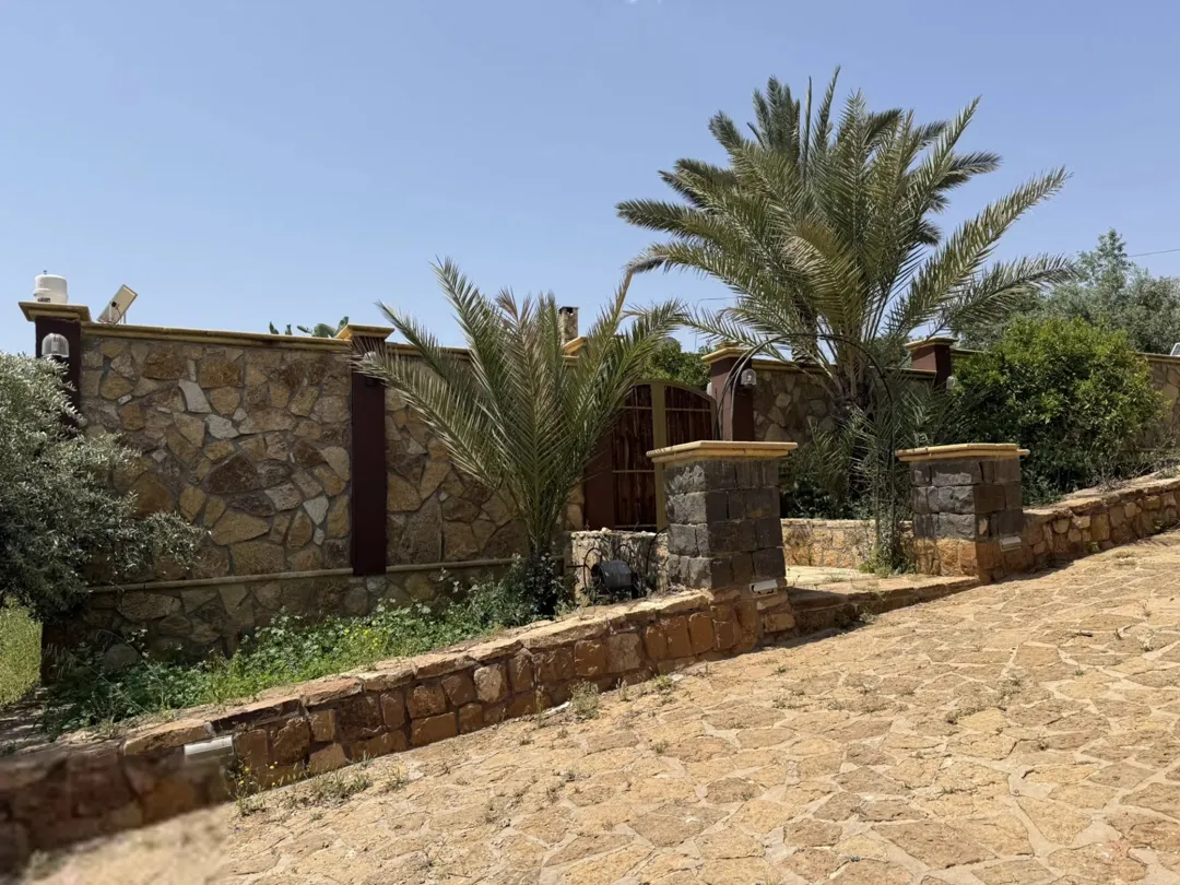 مزرعة زيتون ساحرة مع بيت ريفي للبيع في منطقة الصبيحي