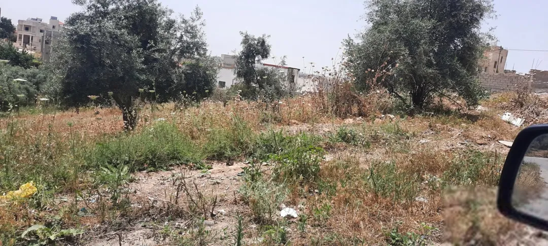 قطعة أرض سكنية للبيع في بيت راس – إربد