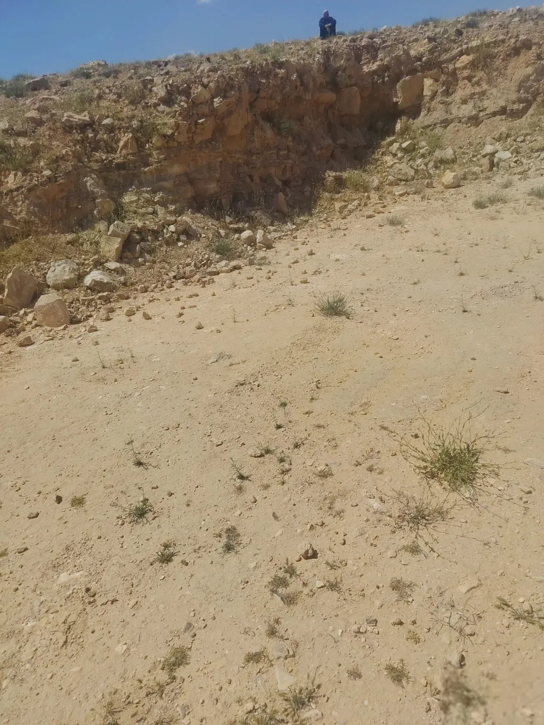 ارض في وادي العش