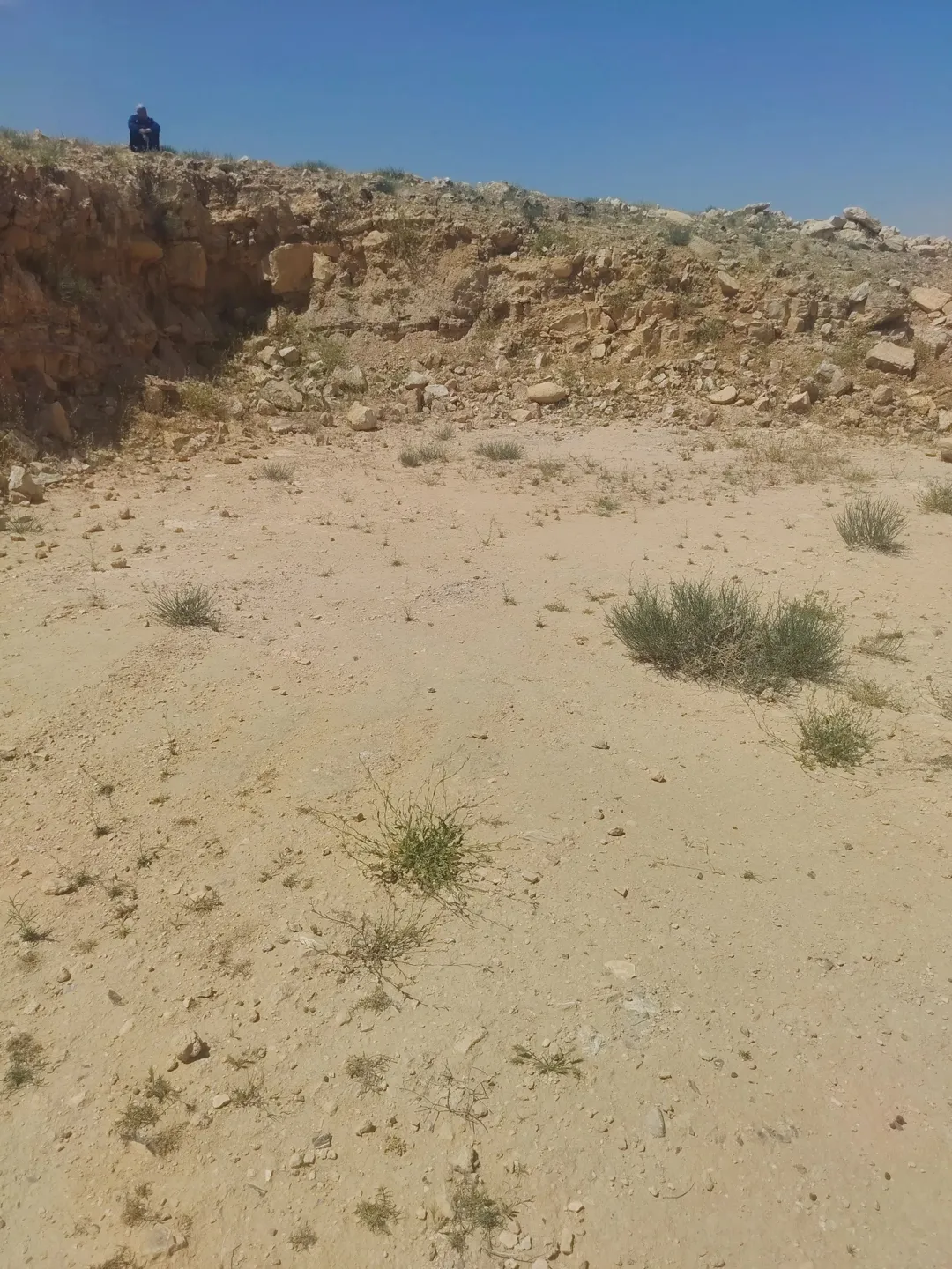 ارض في وادي العش