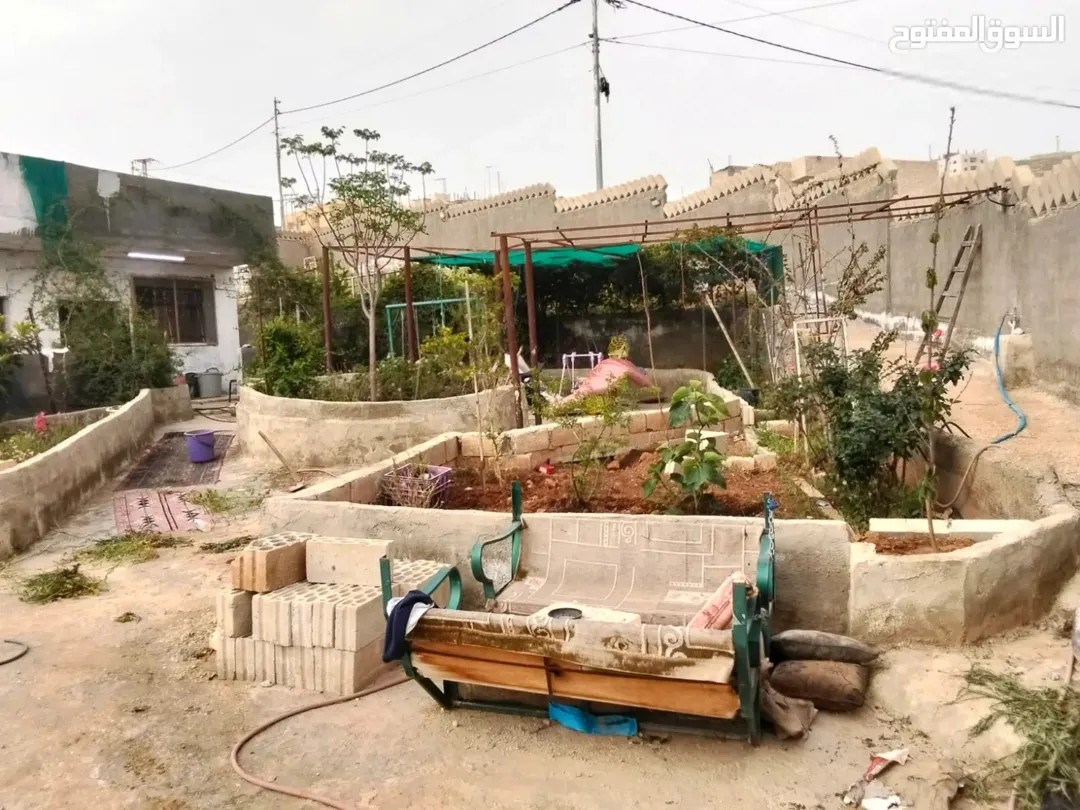 قطعة أرض خصبة في المغيرات منزل طابق واحد مع أشجار مثمرة للبيع