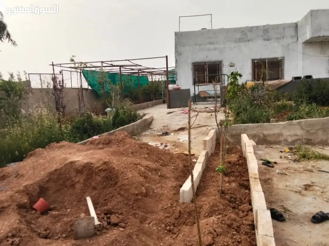 قطعة أرض خصبة في المغيرات منزل طابق واحد مع أشجار مثمرة للبيع