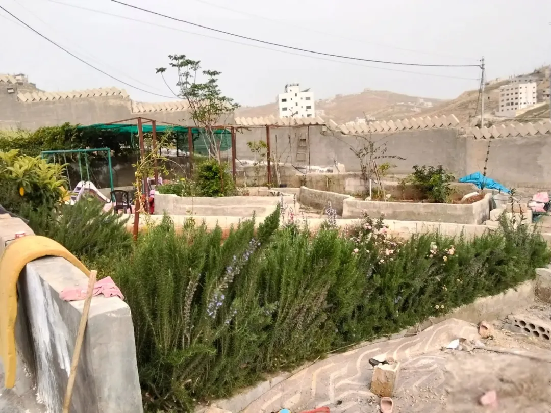 قطعة أرض خصبة في المغيرات منزل طابق واحد مع أشجار مثمرة للبيع
