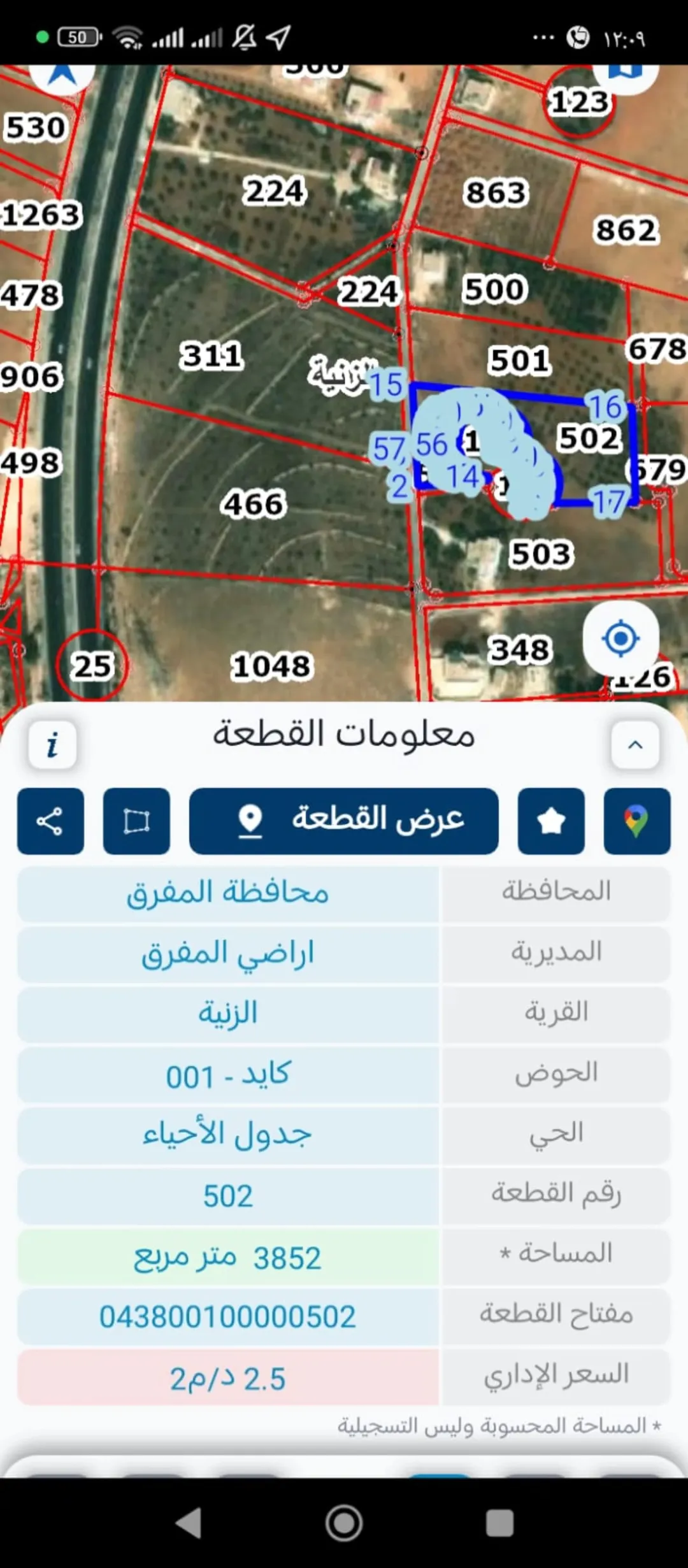 أرض للبيع في الزنية – زيتونة مشجرة بـ 45 شجرة زيتون مثمرة