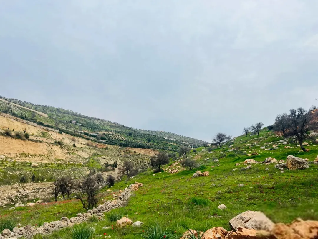 أرض زراعية مميزة في منطقة العالوك