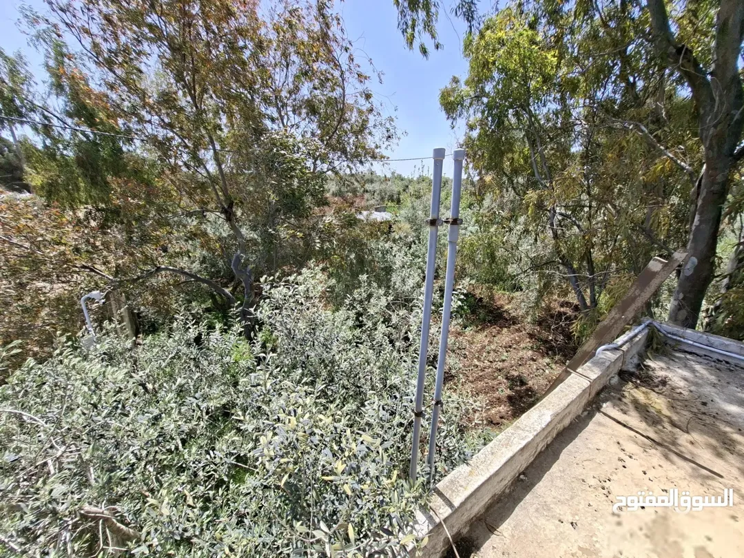 مزرعة سما الروسان حبراص
