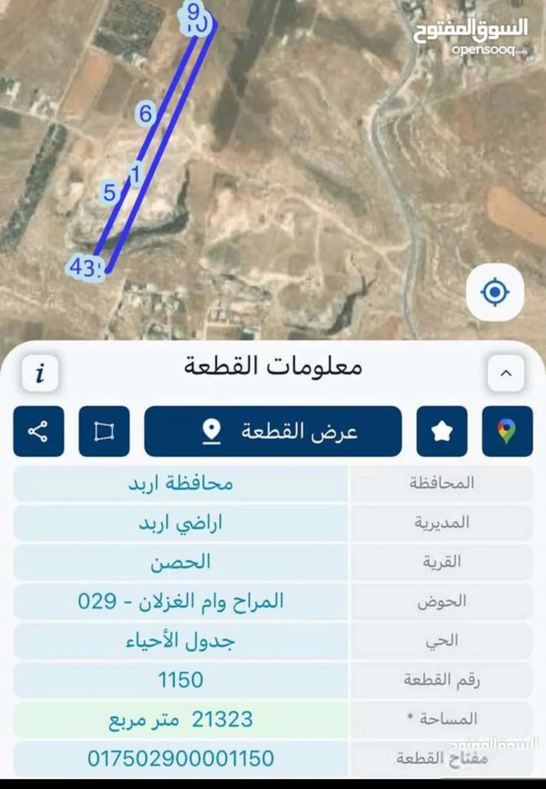 3700 متر مشترك في الحصن على شارع ال 100 قابل للافراز — صورة 4