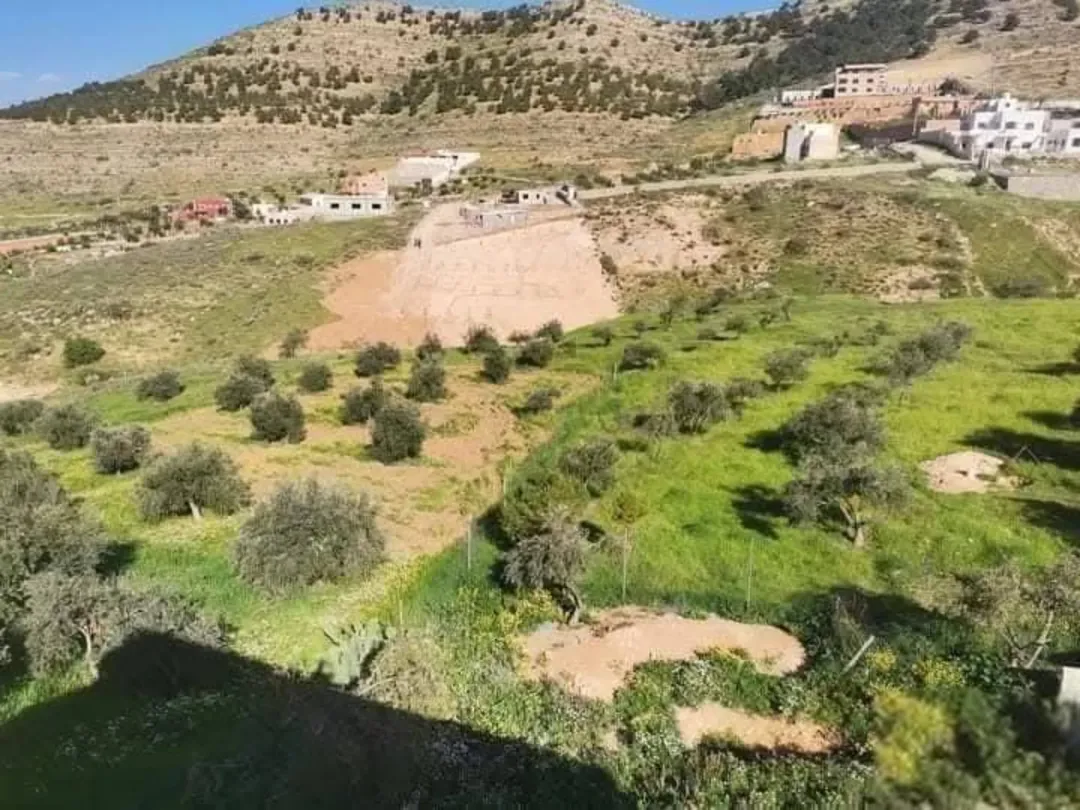 أراضي سكنية مميزة للبيع في بيرين – محافظة الزرقاء