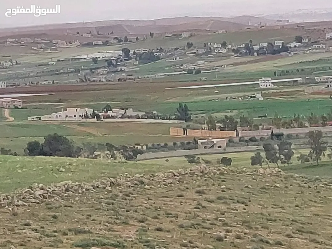 أرض مميزة للبيع في المفرق – حيان الرويبض
