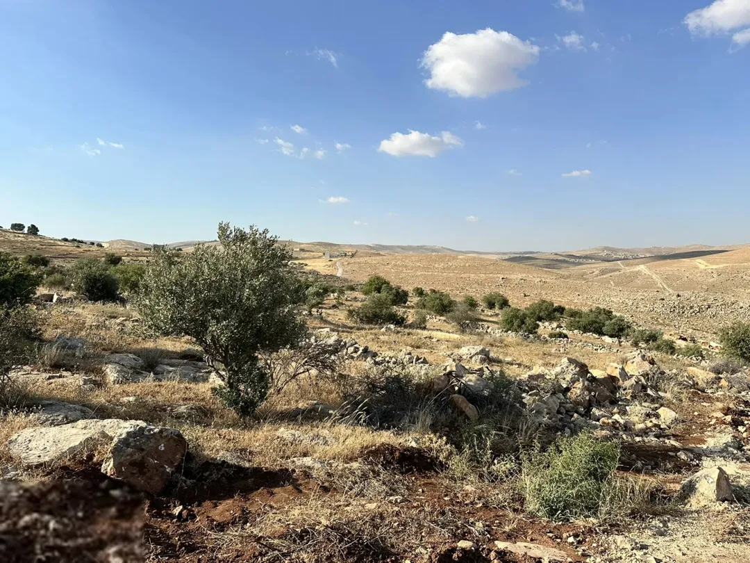 أرض زراعية مميزة للبيع في القنية – الزرقاء