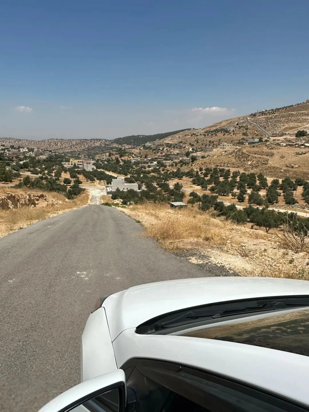 أرض مميزة للبيع في منشية بني حسن بمحافظة المفرق