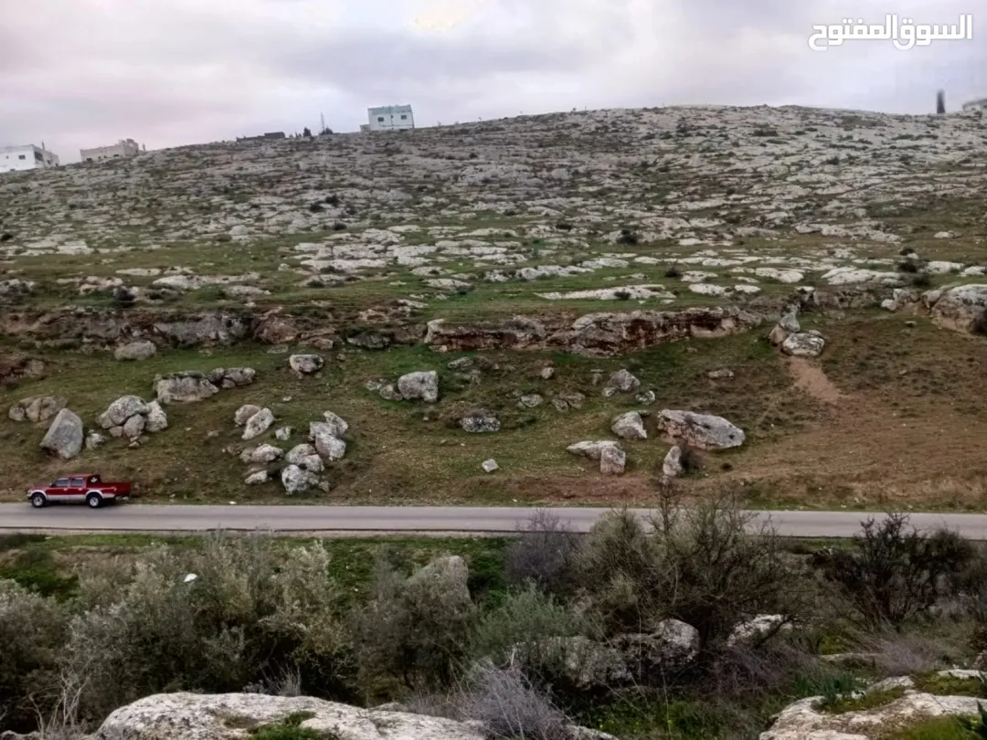 أرض زراعية مميزة للبيع في محافظة إربد