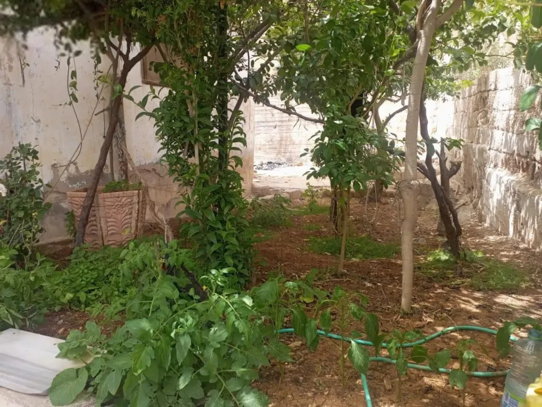عمارتان للبيع في الزرقاء جبل الأمير حمزة
