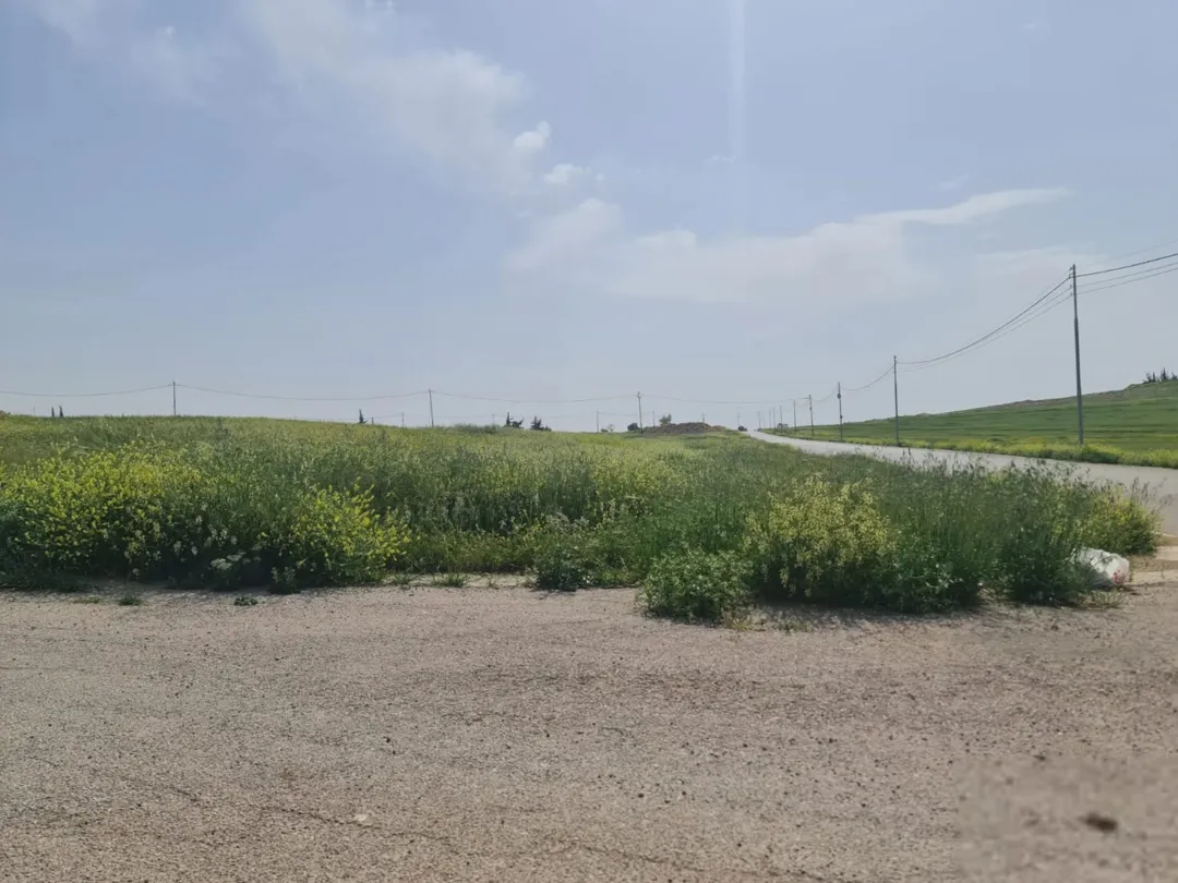 للبيع قطعة أرض مميزة في الخمان الشمالي اسكان المهندسين