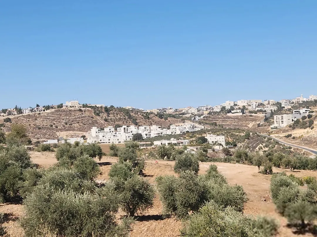 ارض للبيع في منطقه بدر الجديده حوض الرباحيه الجنوبيه 1364م ذات اطلاله عاليه