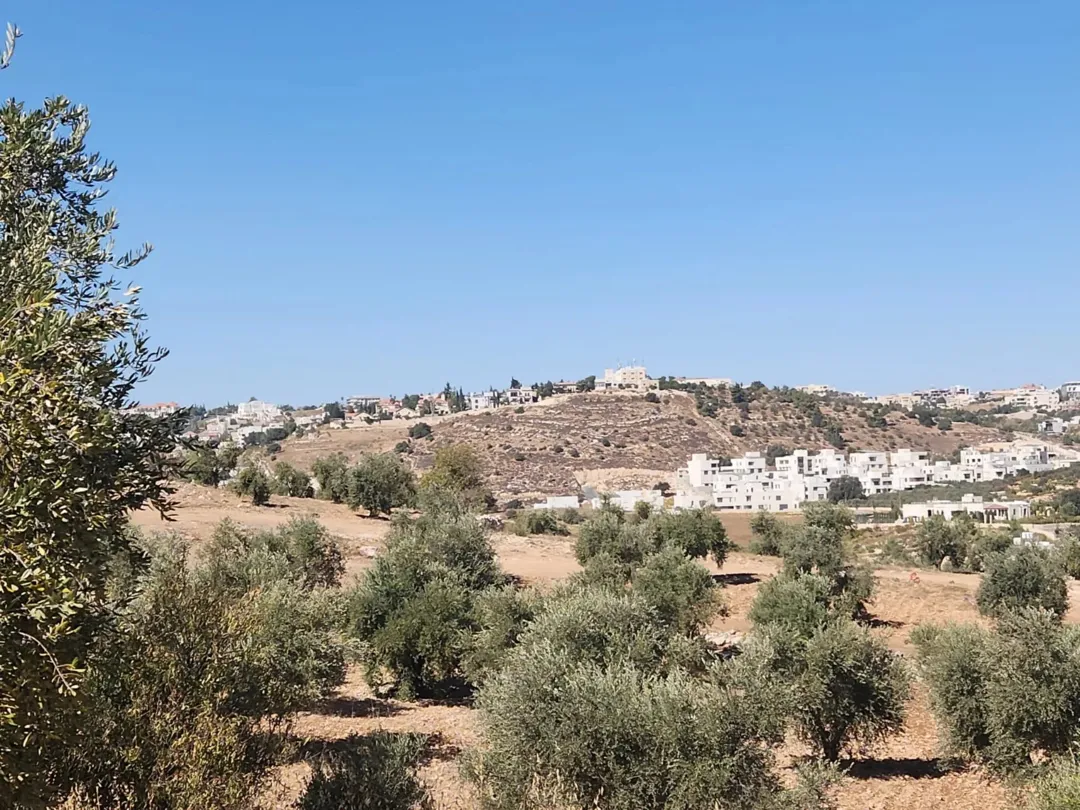 ارض للبيع في منطقه بدر الجديده حوض الرباحيه الجنوبيه 1364م ذات اطلاله عاليه