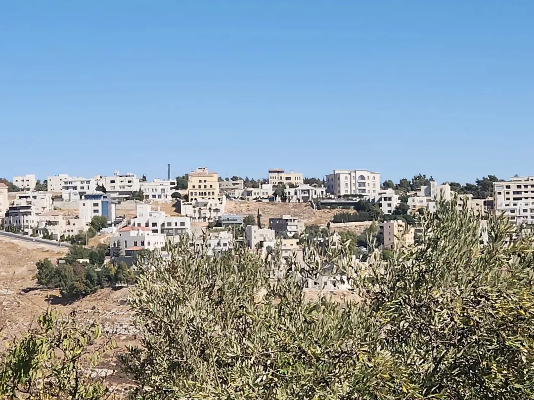 ارض للبيع في منطقه بدر الجديده حوض الرباحيه الجنوبيه 1364م ذات اطلاله عاليه