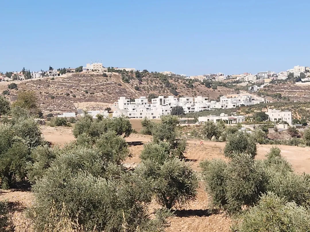 ارض للبيع في منطقه بدر الجديده حوض الرباحيه الجنوبيه 1364م ذات اطلاله عاليه