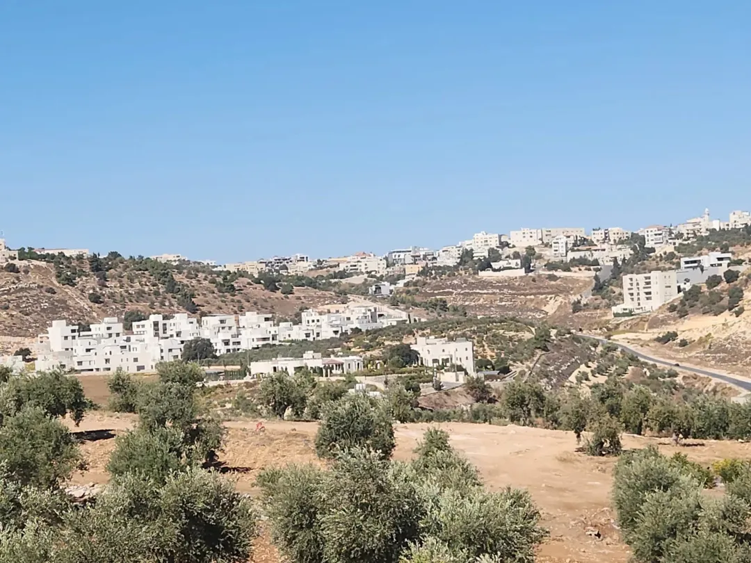 ارض للبيع في منطقه بدر الجديده حوض الرباحيه الجنوبيه 1364م ذات اطلاله عاليه