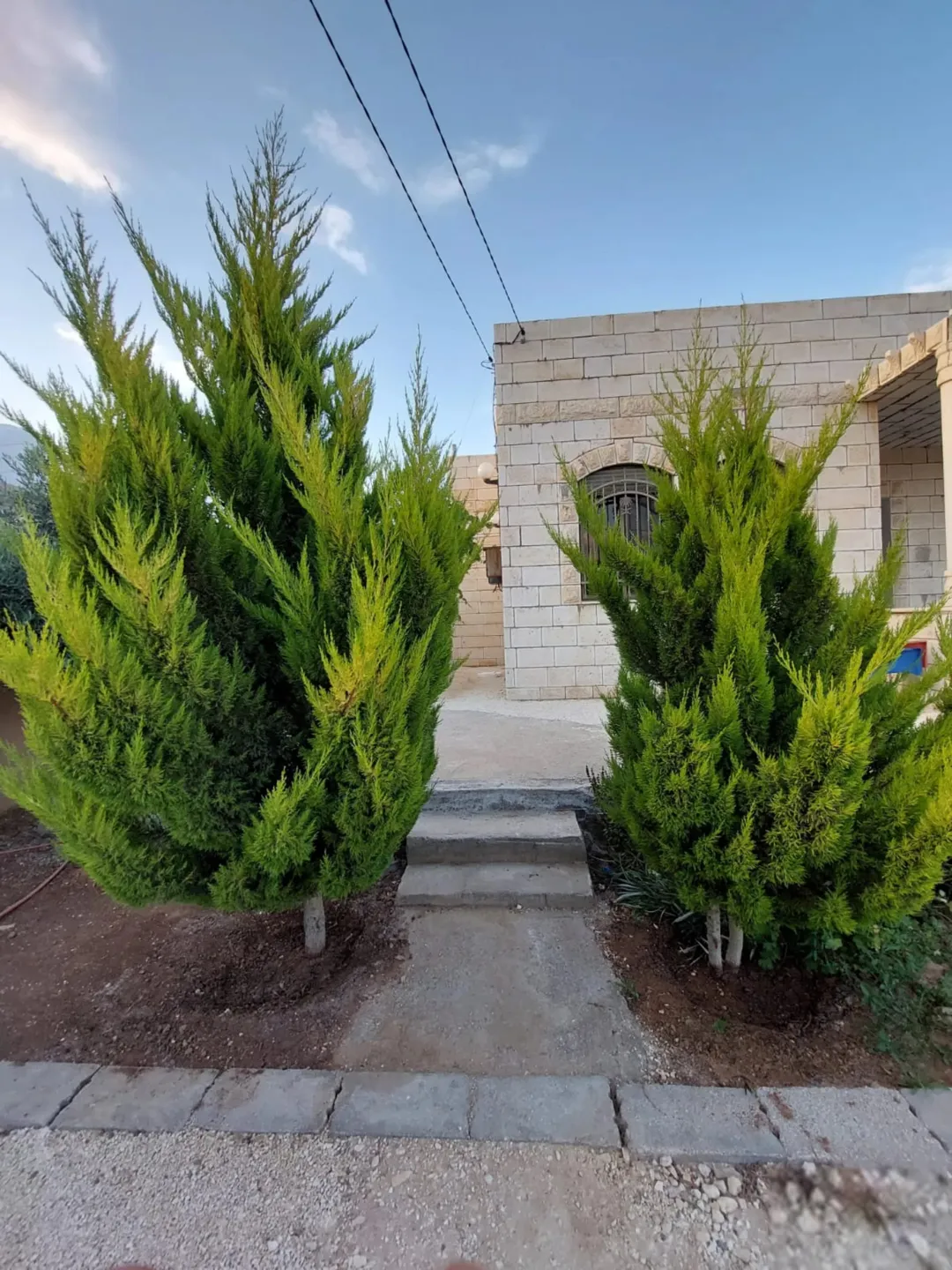 بيت للبيع الخالديه المبروكه
