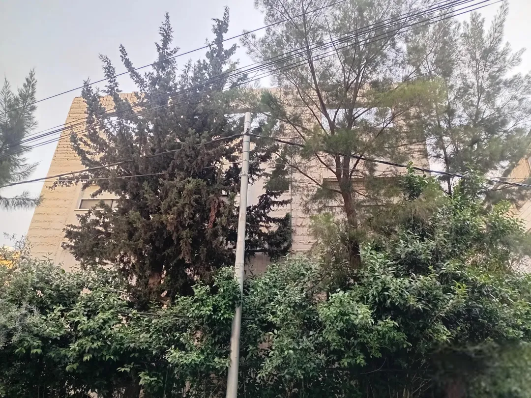 طابق رابع قيد الانشاء للبيع