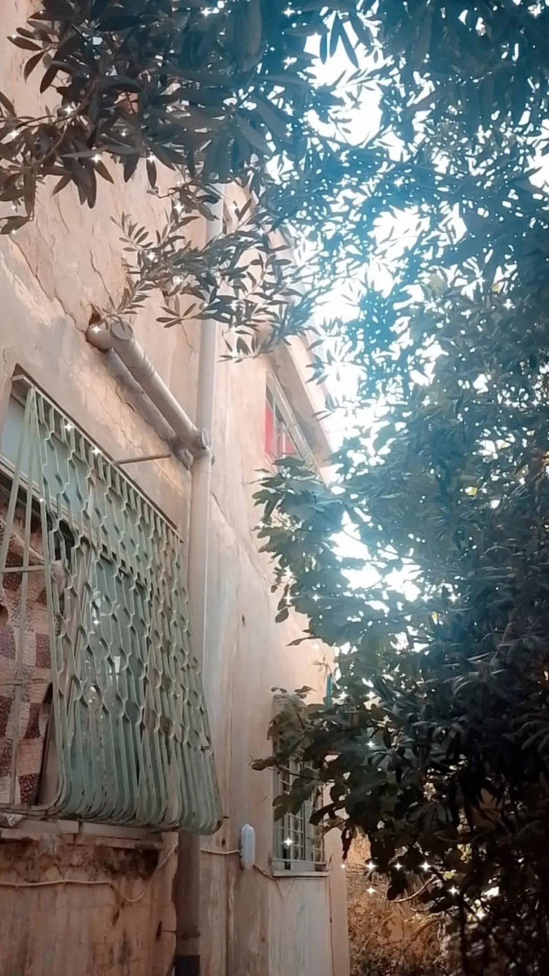 شقتان للبيع في طلوع حي عدن فرصة لا تُفوّت