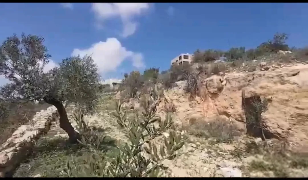: أرض مطلة 8.8 دنم في المغاريب – السلط