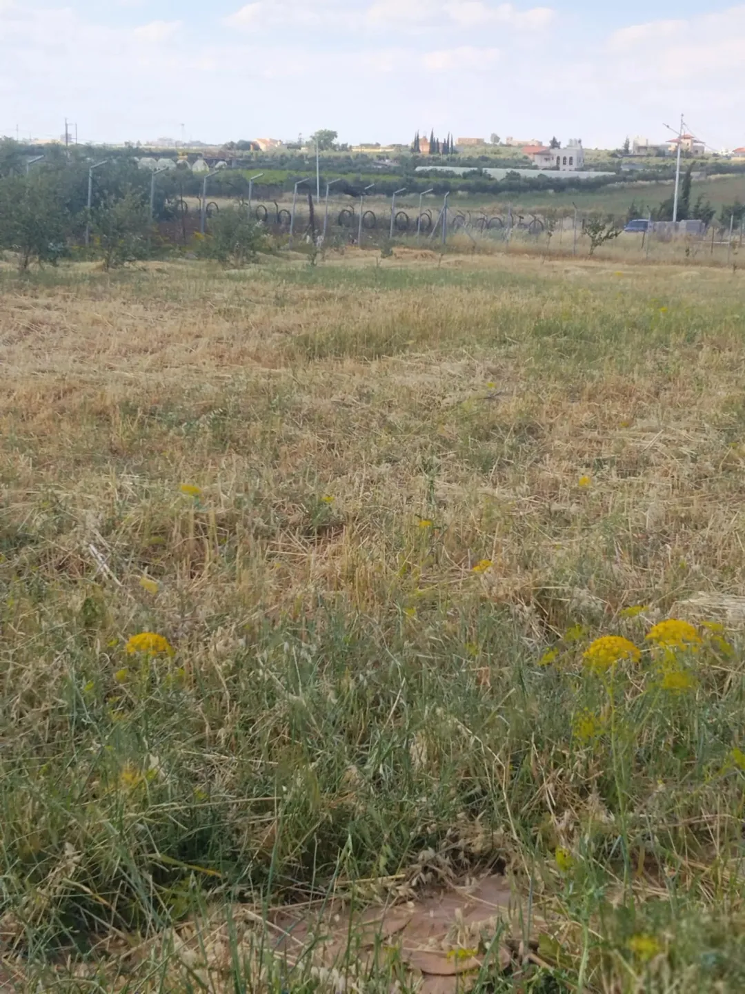 أرض للبيع في ناعور منطقة العال بمساحة واسعة وإطلالة مميزة