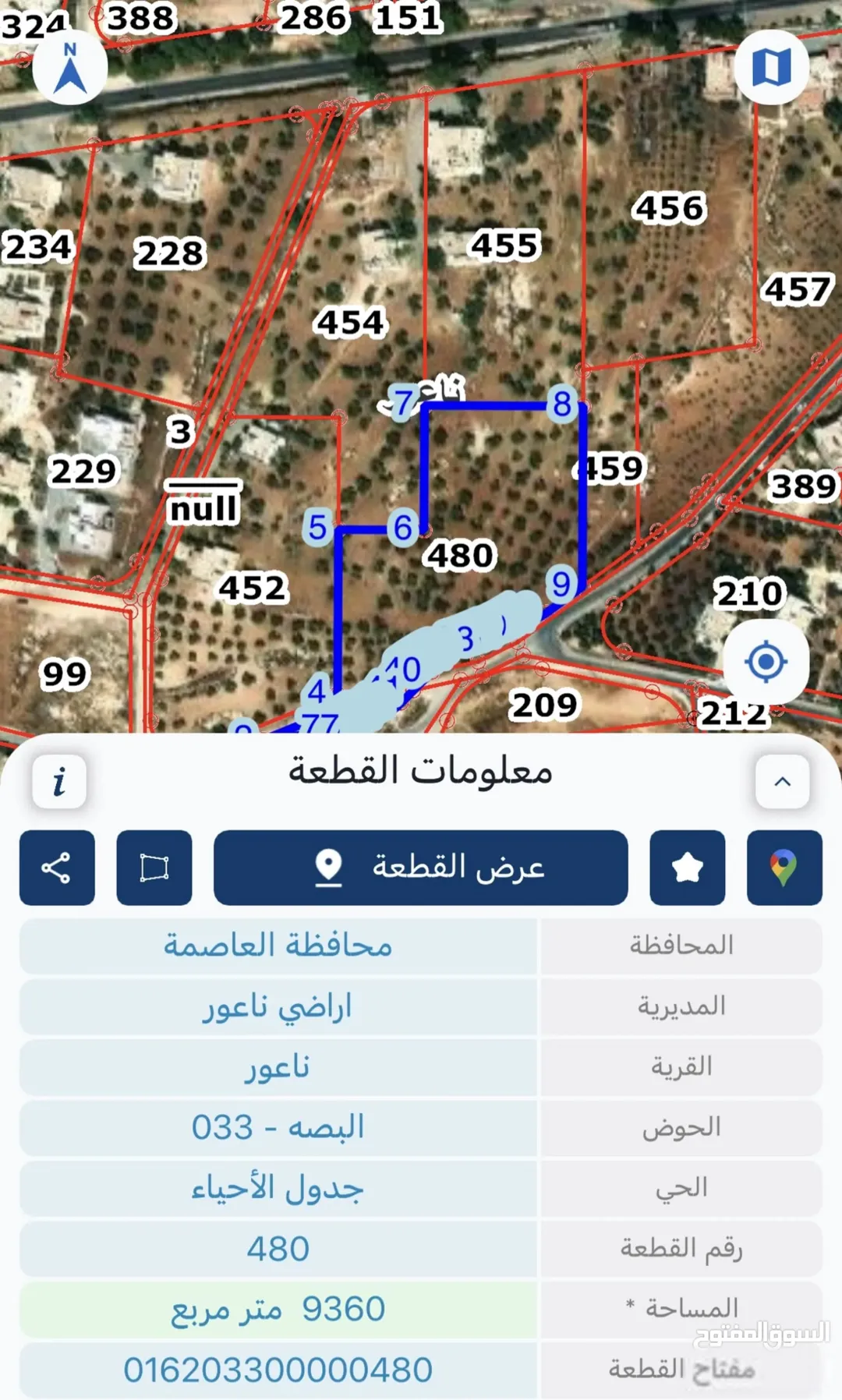 فرصة استثمارية مميزة
