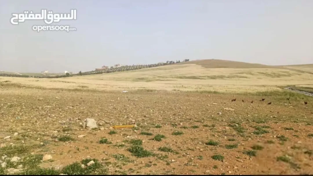أرض سكنية مميزة بمساحة 538 متر في قرية سالم