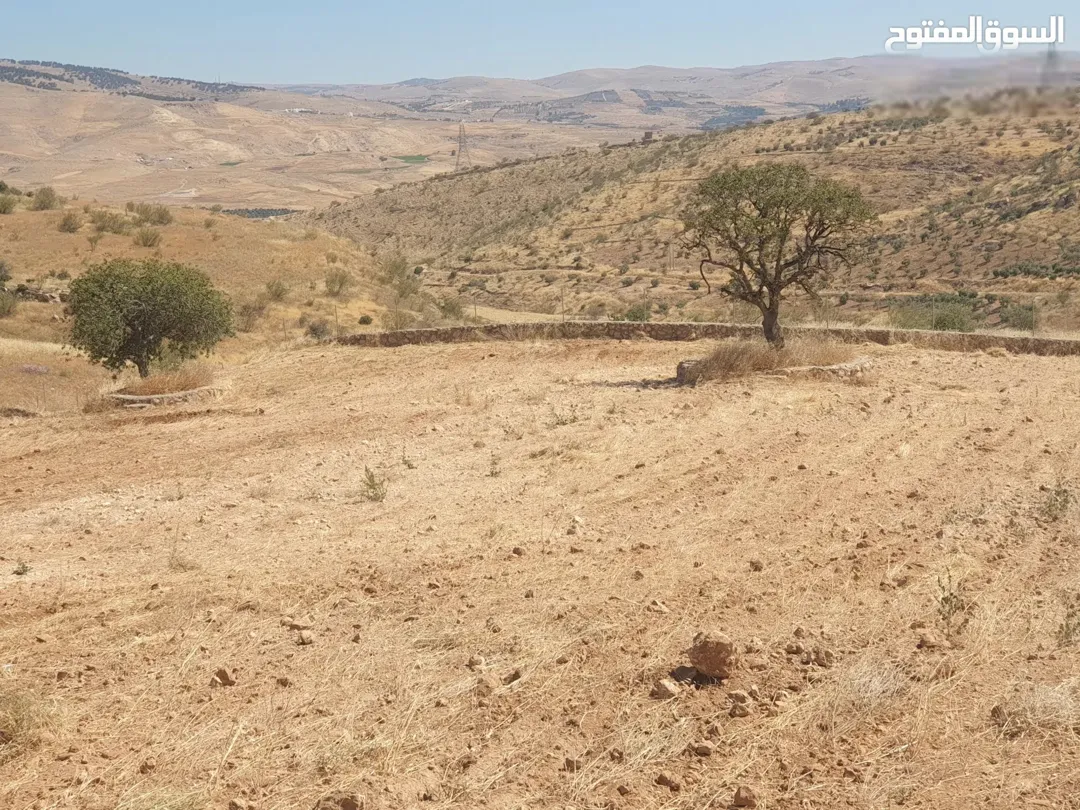 أرض مستوية ومسنسلة في صروت بمنطقة العالوك – منطقة شاليهات فاخرة