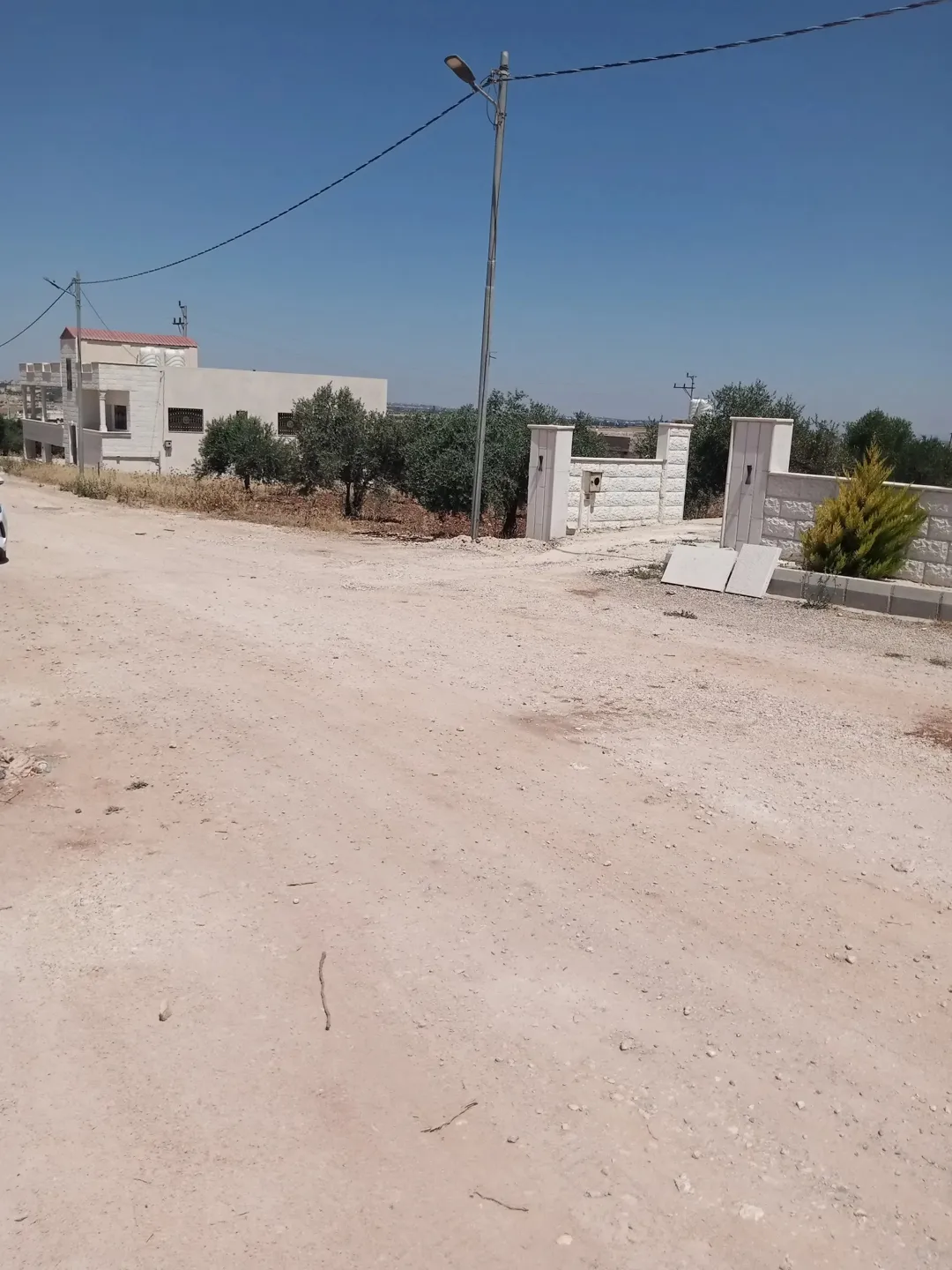 أرض مزروعة بالزيتون للبيع في المغير – محافظة إربد