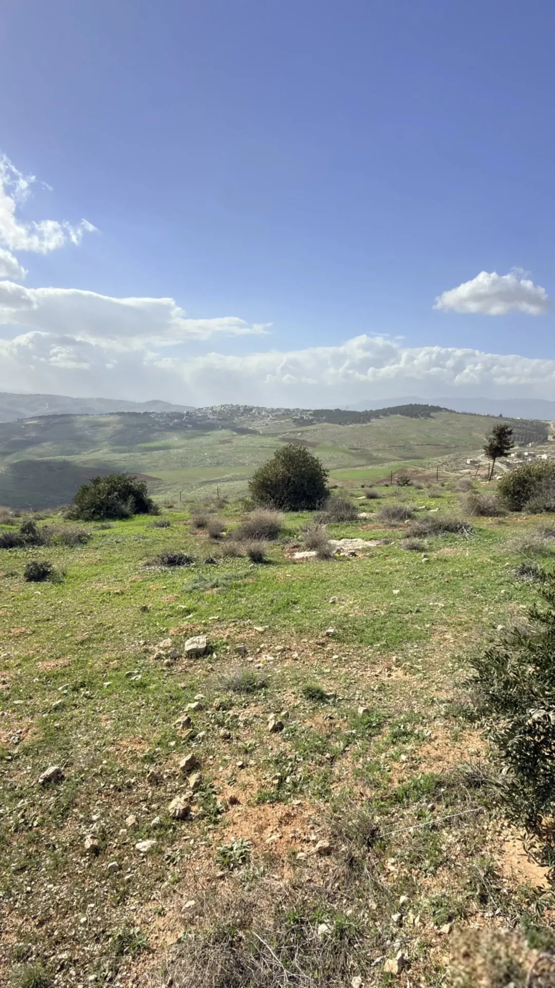 فرصة استثمارية تملك 14 دونم في جرش عنيبه إطلالة غربية شمالية