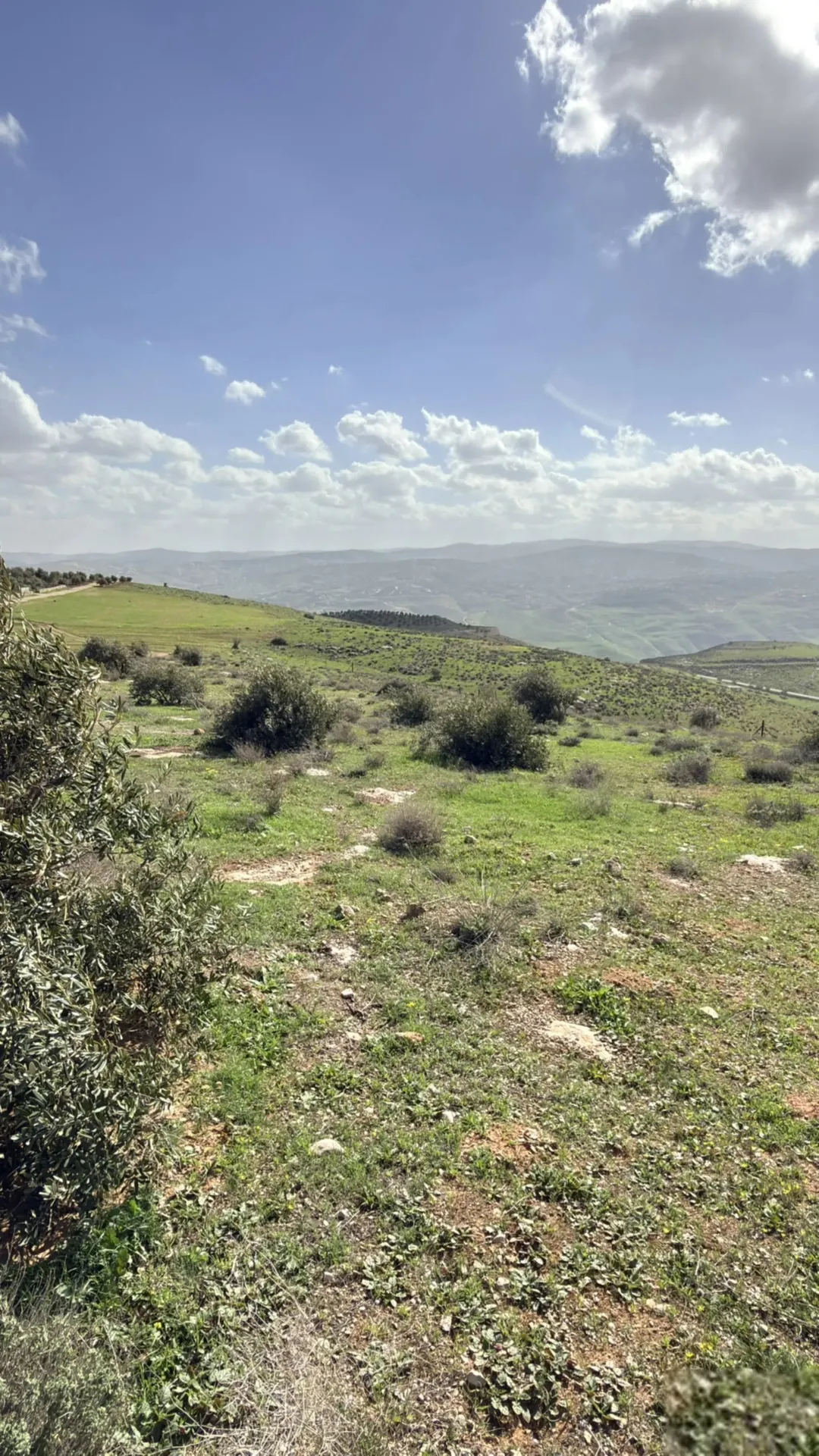 فرصة استثمارية تملك 14 دونم في جرش عنيبه إطلالة غربية شمالية