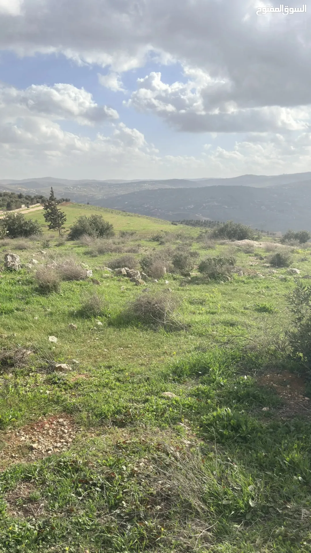 فرصة استثمارية تملك 14 دونم في جرش عنيبه إطلالة غربية شمالية