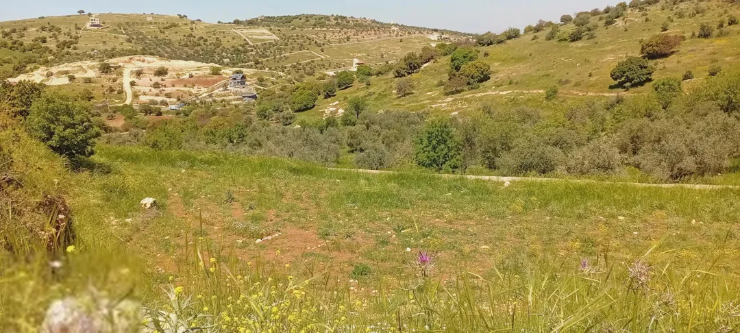 أرض للبيع في عجلون – صخرة بمساحة 5,393 م٢ وإطلالة مميزة