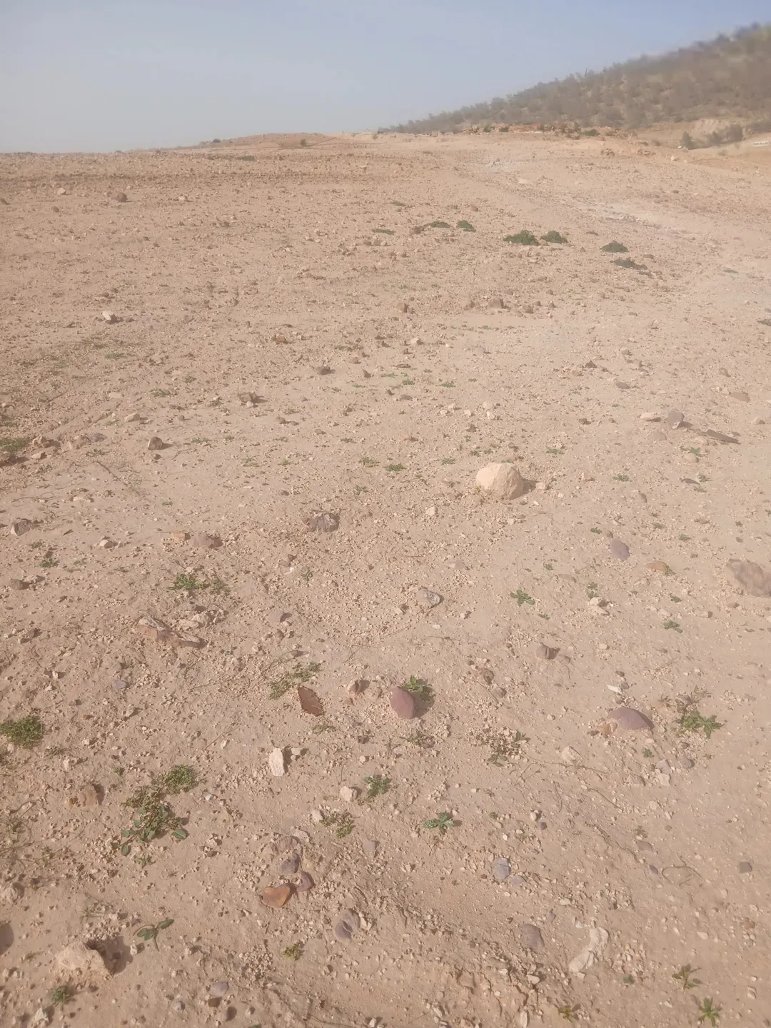 قطعة أرض مميزة في السلط الصبيحي بسعر لا يقاوم