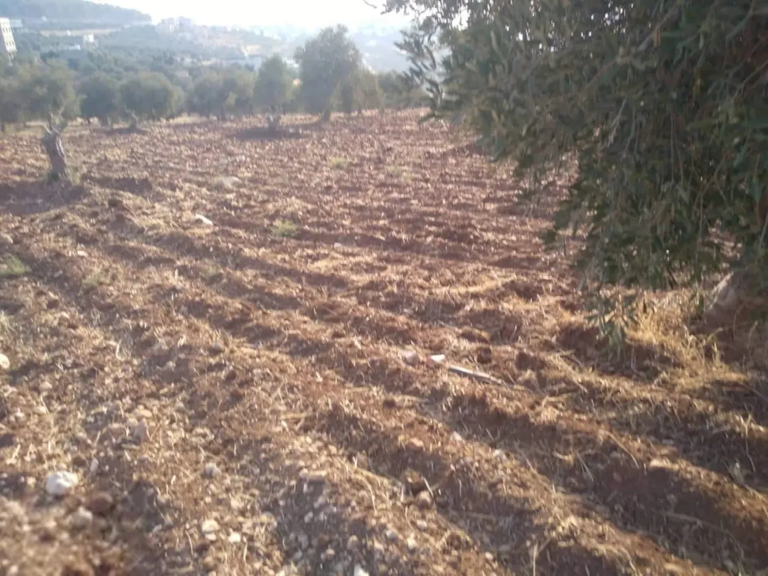 أراضي مميزة للبيع في محافظة جرش بمواقع استراتيجية وإطلالات ساحرة
